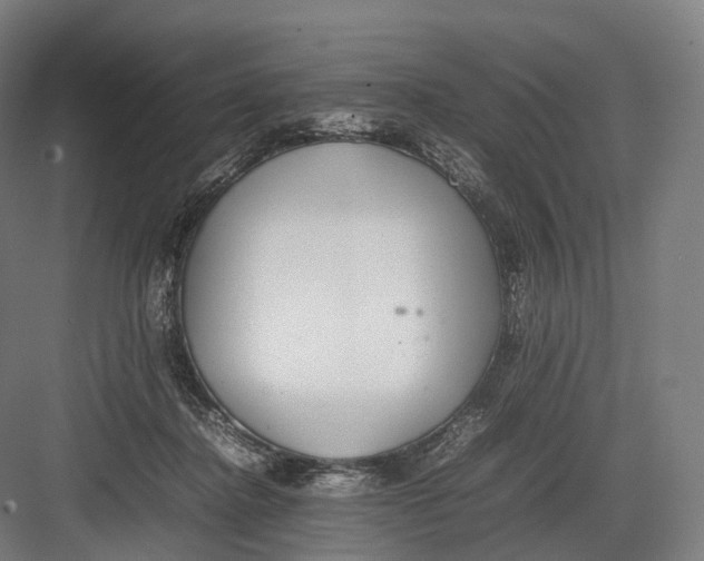 X0000082690364200702161730