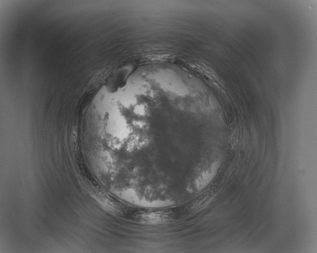 X0000082690365200702161730