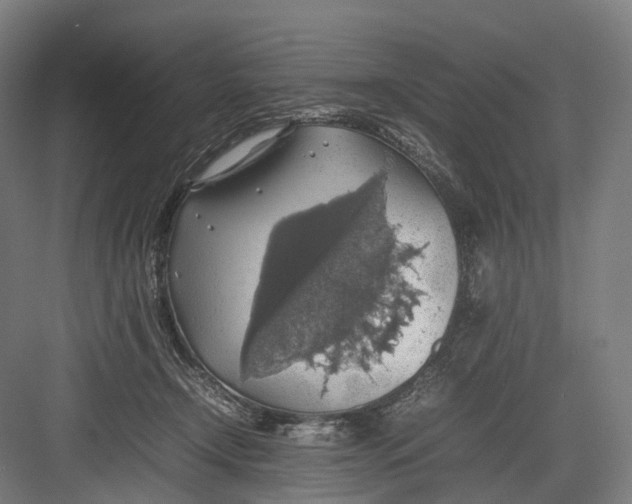 X0000082690366200702161730