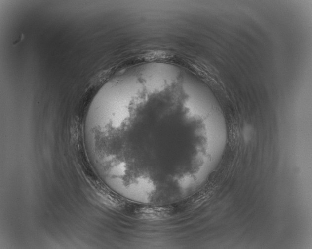 X0000082690367200702161730