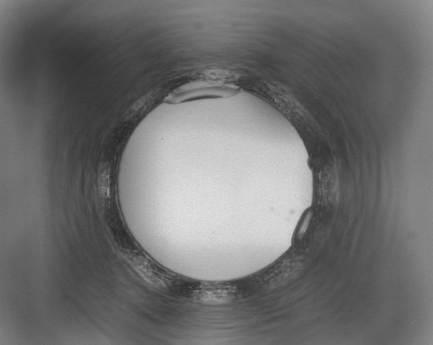 X0000082690368200702161730