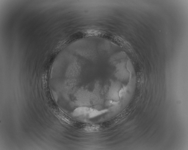 X0000082690369200702161730