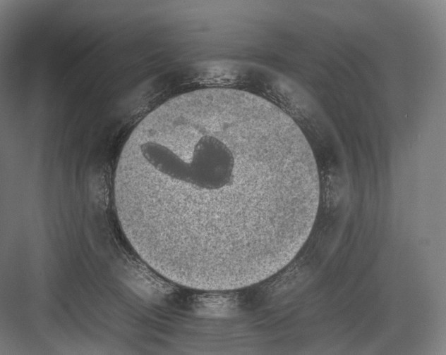 X0000082690370200702161730