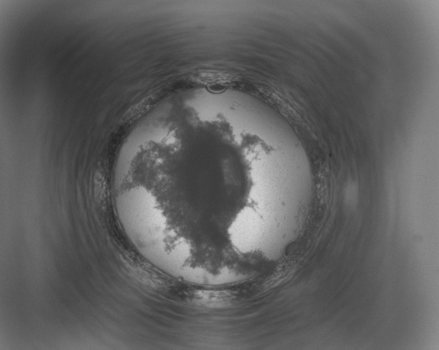 X0000082690371200702161730