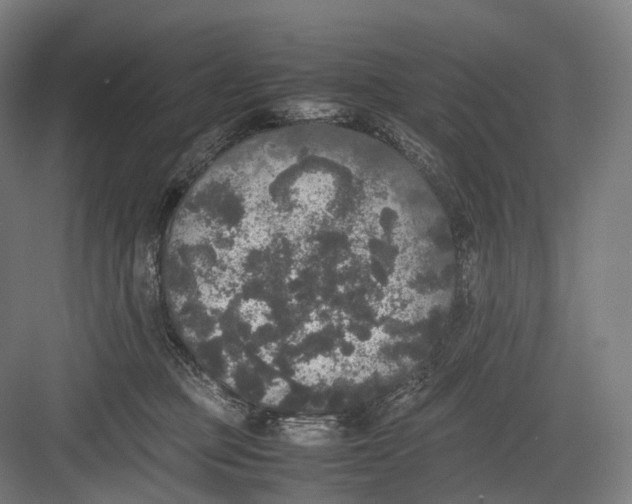 X0000082690373200702161730