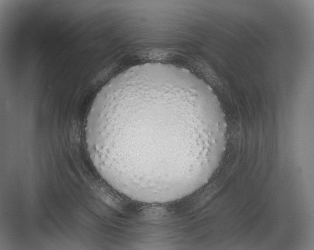 X0000082690374200702161730