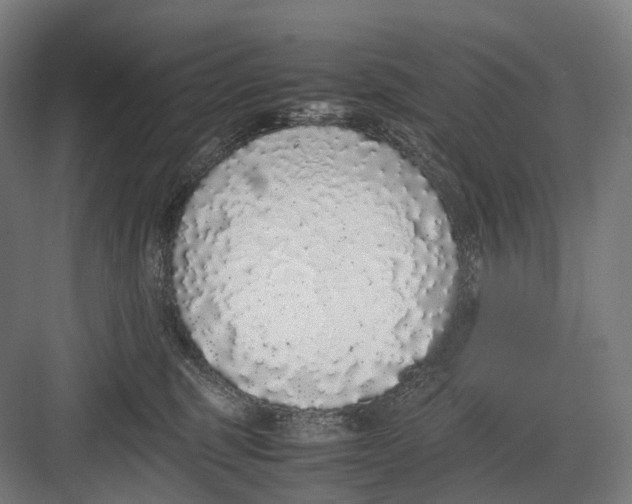 X0000082690375200702161730