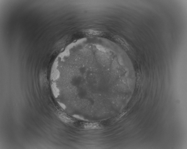 X0000082690377200702161730