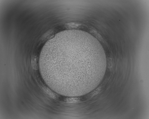 X0000082690378200702161730