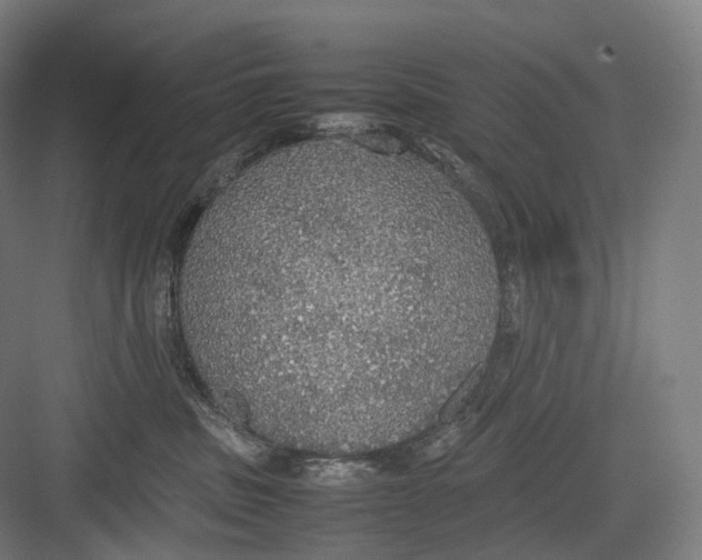 X0000082690379200702161730