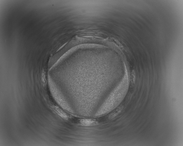 X0000082690380200702161730