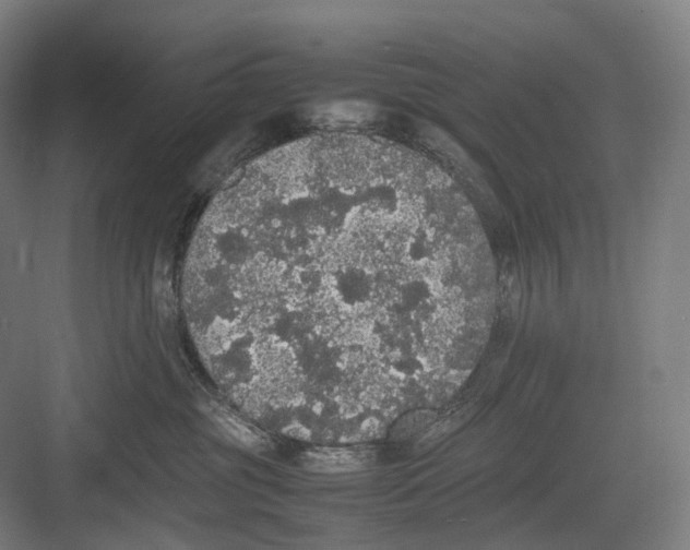 X0000082690381200702161730