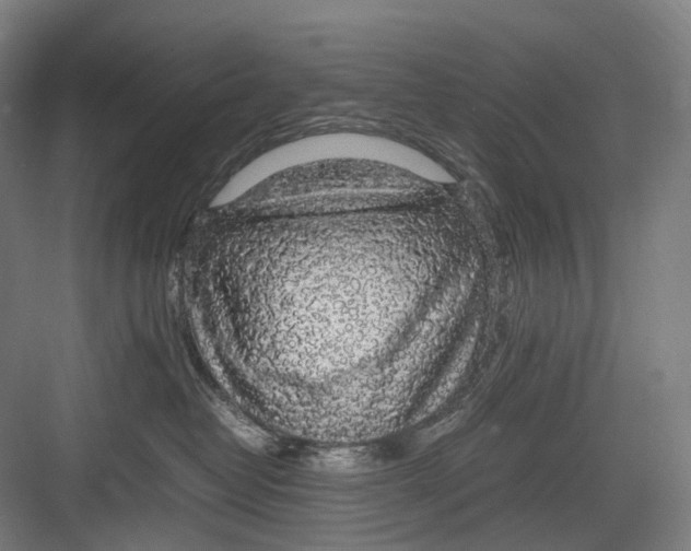 X0000082690382200702161730