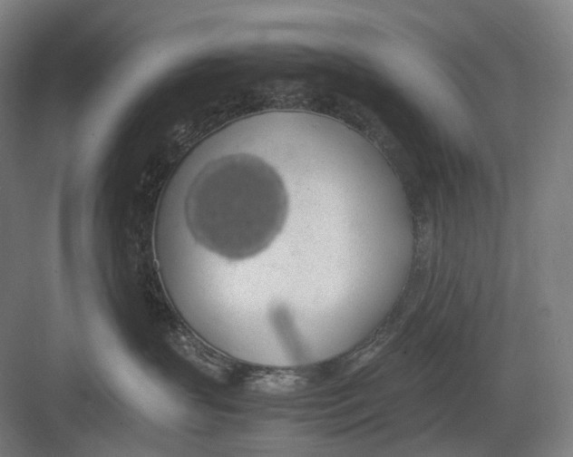 X0000082690383200702161730