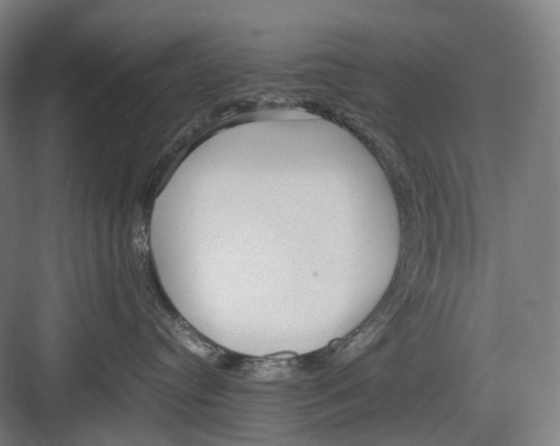 X0000082690384200702161730