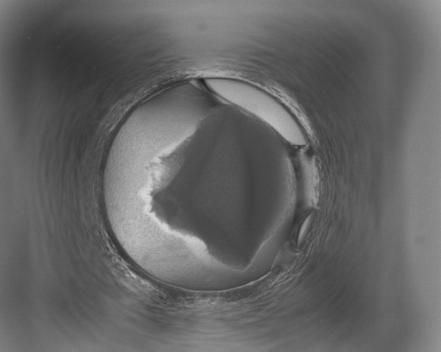 X0000082690385200702161729