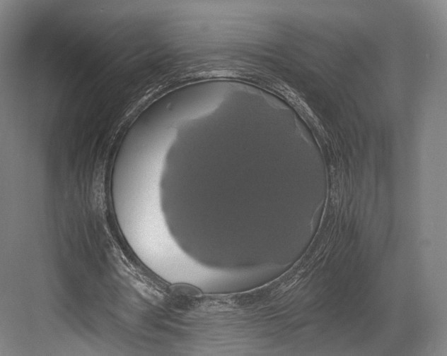 X0000082690386200702161729