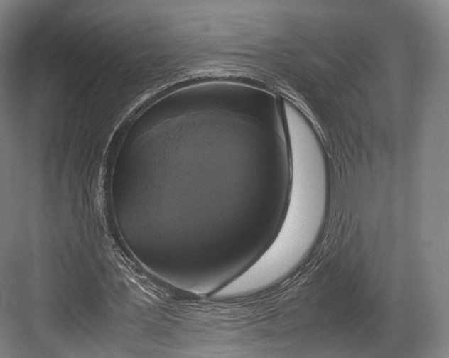 X0000082690387200702161729