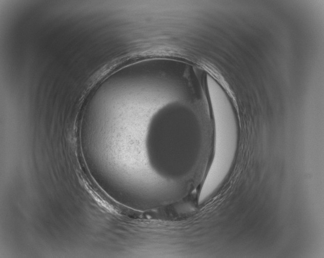 X0000082690389200702161729