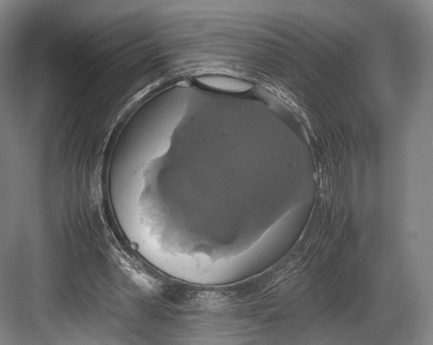 X0000082690390200702161729