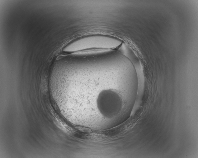 X0000082690393200702161729