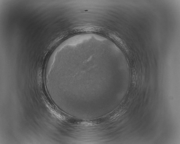 X0000082690394200702161729