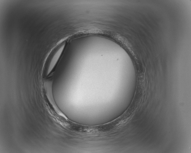 X0000082690395200702161729