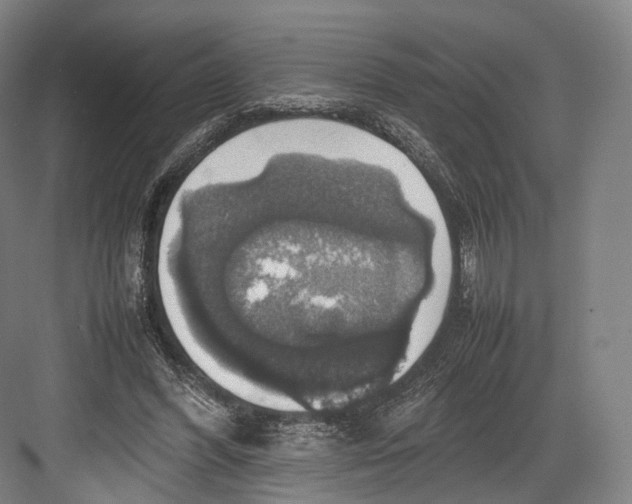 X0000082690396200702161729