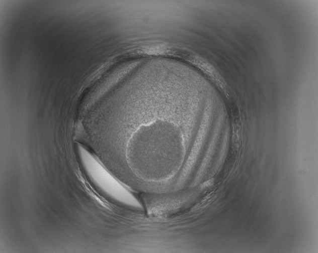 X0000082690397200702161729