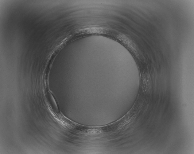 X0000082690398200702161729