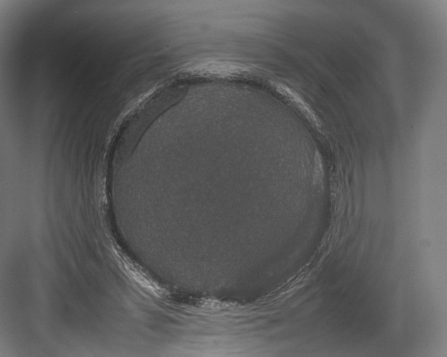 X0000082690399200702161729