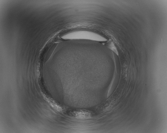 X0000082690400200702161729