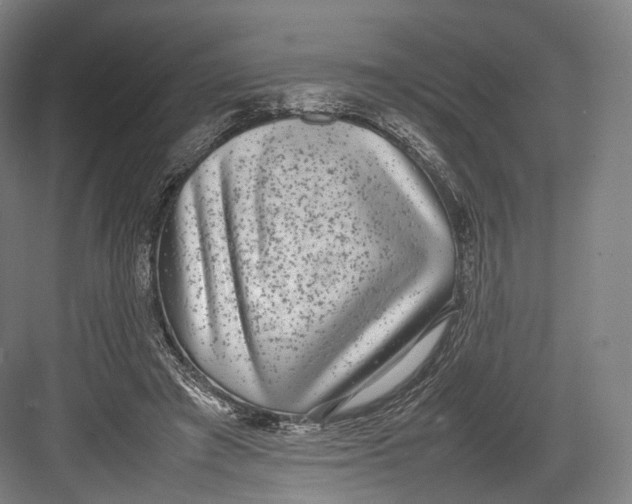 X0000082690401200702161729