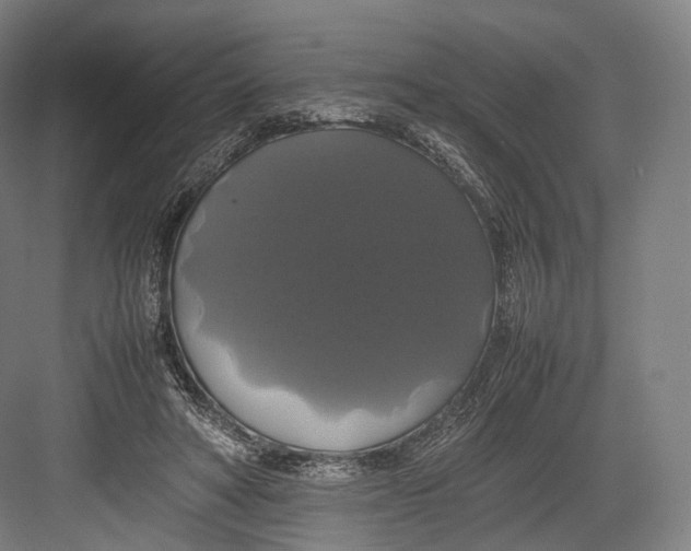 X0000082690402200702161729