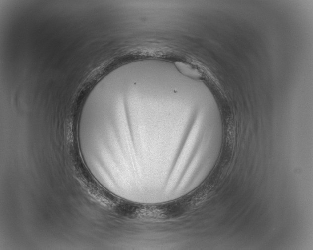 X0000082690403200702161729