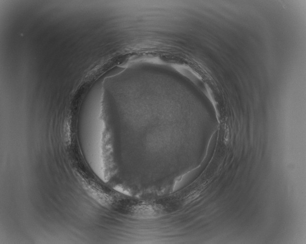 X0000082690404200702161729