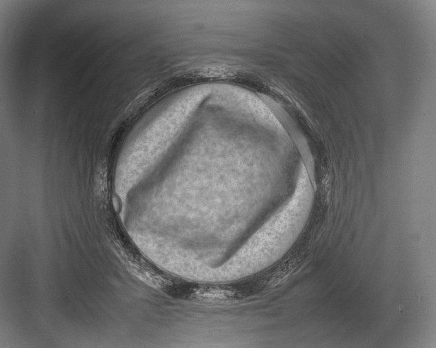 X0000082690407200702161729