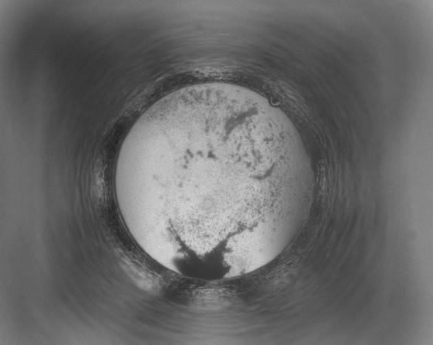 X0000082690408200702161729