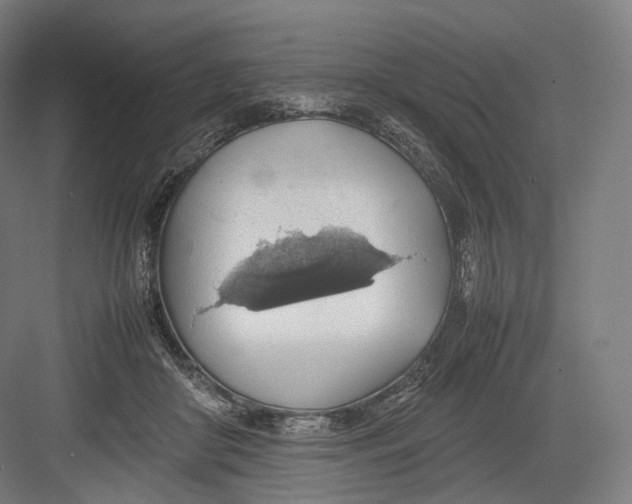 X0000082690410200702161729