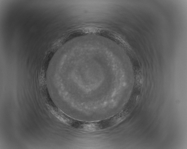 X0000082690411200702161729