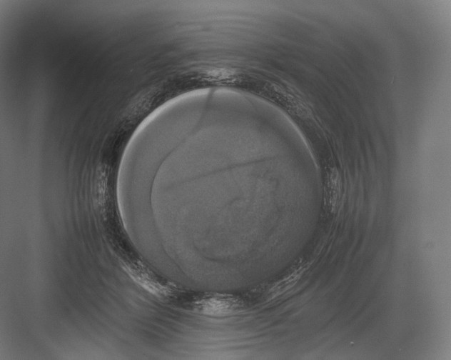 X0000082690412200702161729