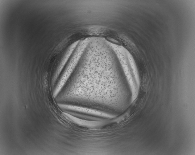 X0000082690413200702161729