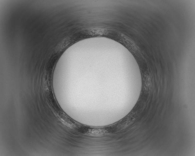 X0000082690414200702161729