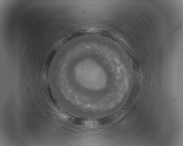 X0000082690415200702161729