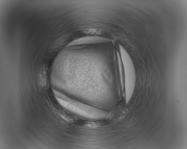 X0000082690416200702161729