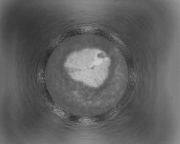 X0000082690419200702161729