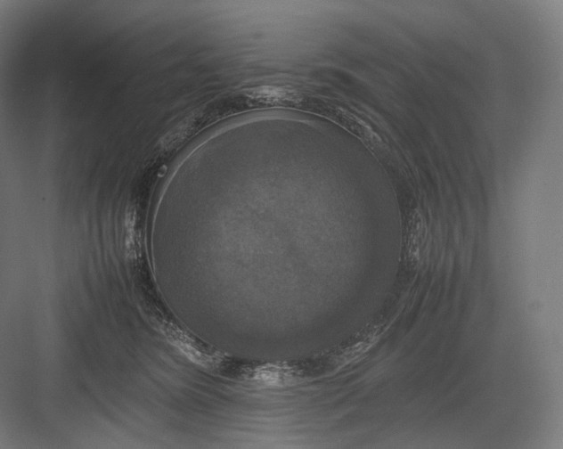 X0000082690420200702161729