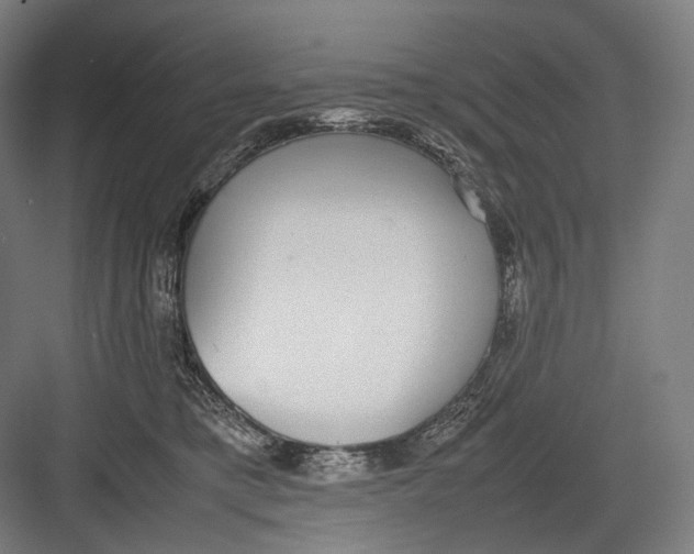 X0000082690421200702161729