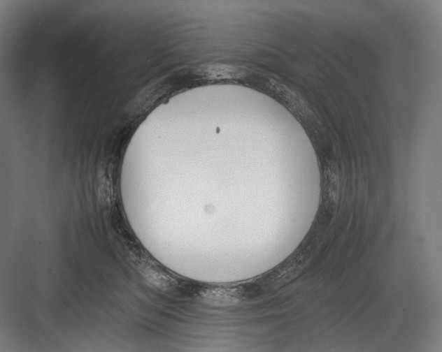 X0000082690422200702161729