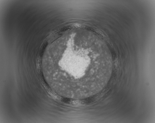 X0000082690423200702161729